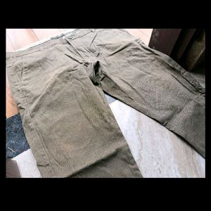 Cotton Pant New