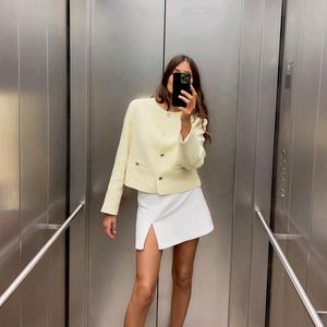 Zara Skirt Shorts