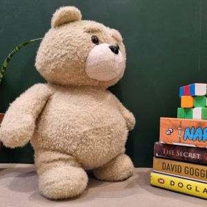 Ted Plush Toy From Ted2