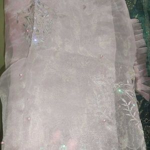 New Organza Kurta Set