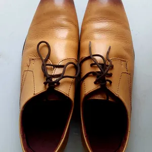 Woodland Tan Shoes