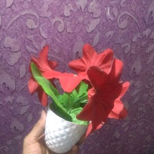 New Rose Red Flower Pot On Cheapest Price ❣️