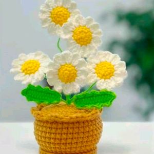 Crochet Flower Pot( 6 Flowe)