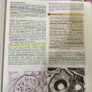 Pathology- Robbins