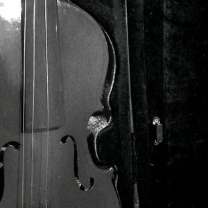 Violin