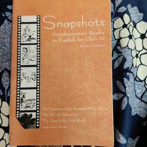 Snapshots & Hornbill - English for Class 11