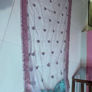 Net Pallu Saree