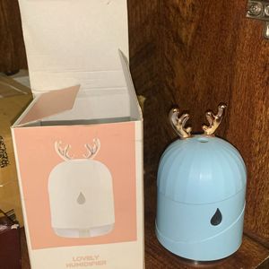 Lovely Humidifier