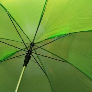 Green Umbrella For Kids