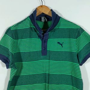 Green Grey Striped T-Shirt (Men's)