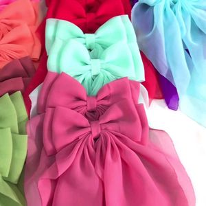 Georgette Dual Bow Clips