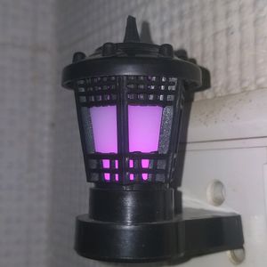 Night lamp Pink Color Light