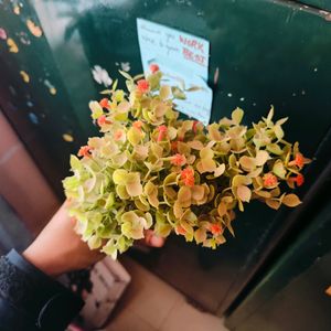 Artificial Bonsai Plant With Cute Reddish Flowers