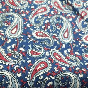 CAMBRIC COTTON 2.5 MTR Blue Print