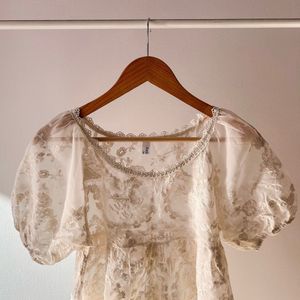 Puff Sleeved Lace Embroidery Sheer Top