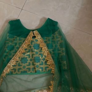 Lehenga Fancy Crop Top Blouse