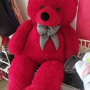 Red Teddy