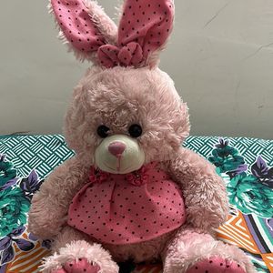 Soft Toy Teddy For Kids