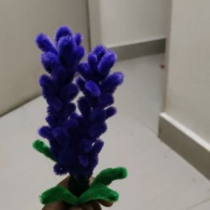 Lavender Flower