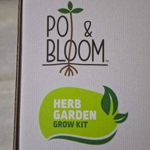 Pot & Bloom, Natural Italian Basil Grow Kit, New