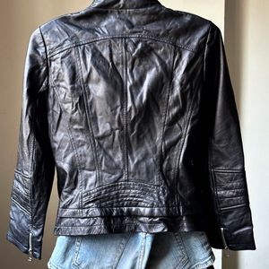 Sheepskin Leather Jacket