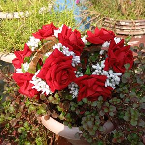 Red Roses Hand Gajrey