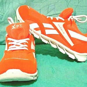 Athletes Sport Shoes for Players