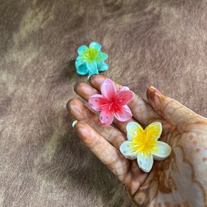 Flower Hair Clutcher Pack Of 3