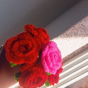 Combo of 6 Roses