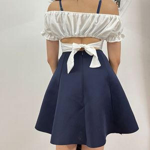 Navy Blue Skirt