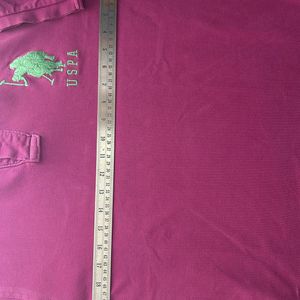 L  Polo Purple Men Half Sleeves T Shirt