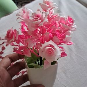 PINK FLOWERS