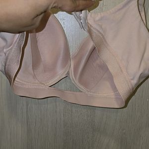 Enamor Padded 36C Bra