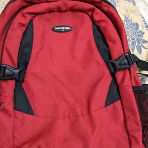 Samsonite Laptop Backpack