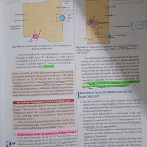 Debasis Pramanik Book Of Physiology 1st Year MBBS