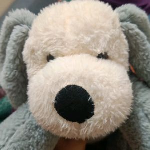 Dog Soft Toy