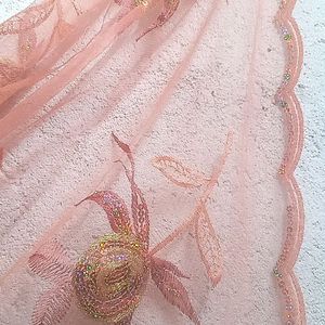 Beautiful Peach Net Saree