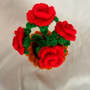 Roses Pot