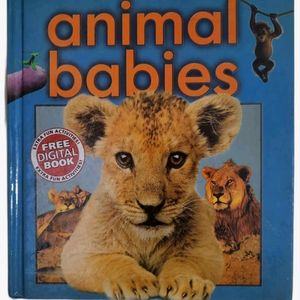 Animal Babies (Scholastic Discover More) Hardcover