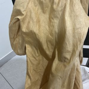 Selling 1 Time Used Bear Costume