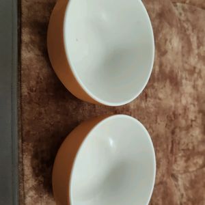 Two Melamine Bowl