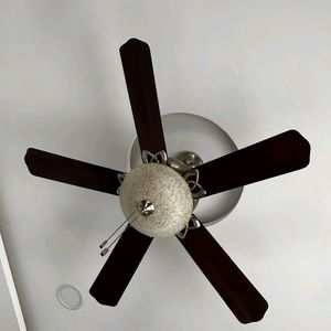 Orient Electric Fan