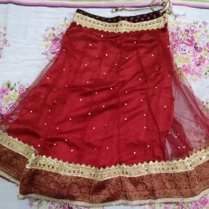 Lovely Party Wear Lehenga