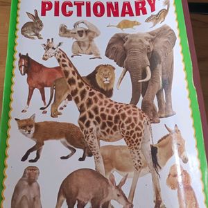 Animal Pictionary