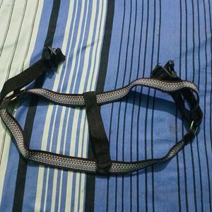 Dog BODY Belt