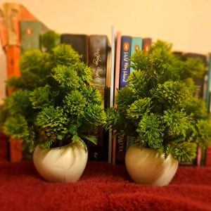 2 Artificial Tabletop Plants with Pot- Negotiable