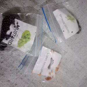 3 Vegetable Seeds Nd 1 Heart Plant