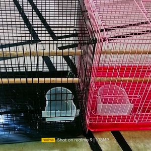 Folding Cage Pijara