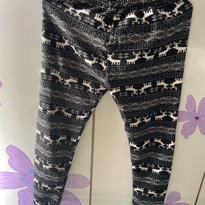 new animal print woolen trouser