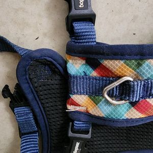 Puppy Harness and Red Collar